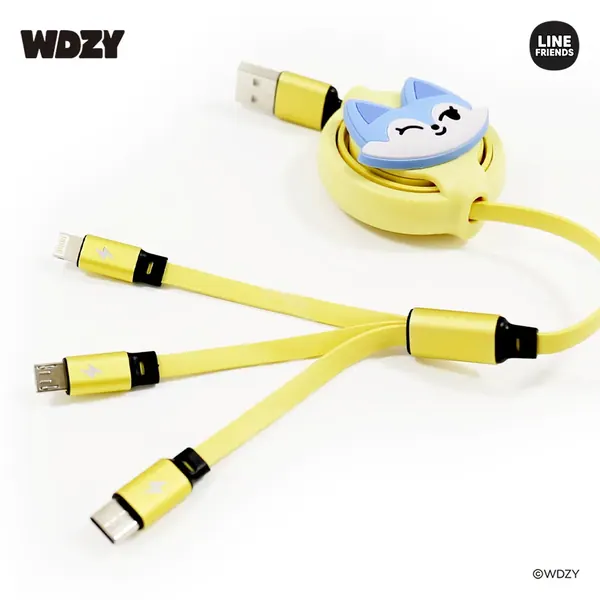 WDZY 3IN1 CABLE OEM 제작 사례