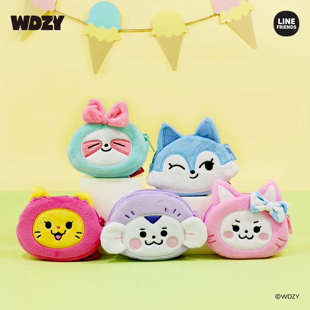 WDZY COIN CASE OEM 제작 사례